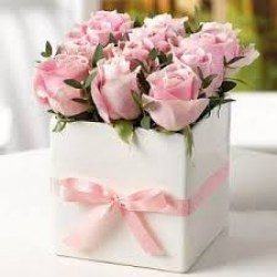 box 12 rosas rosadas